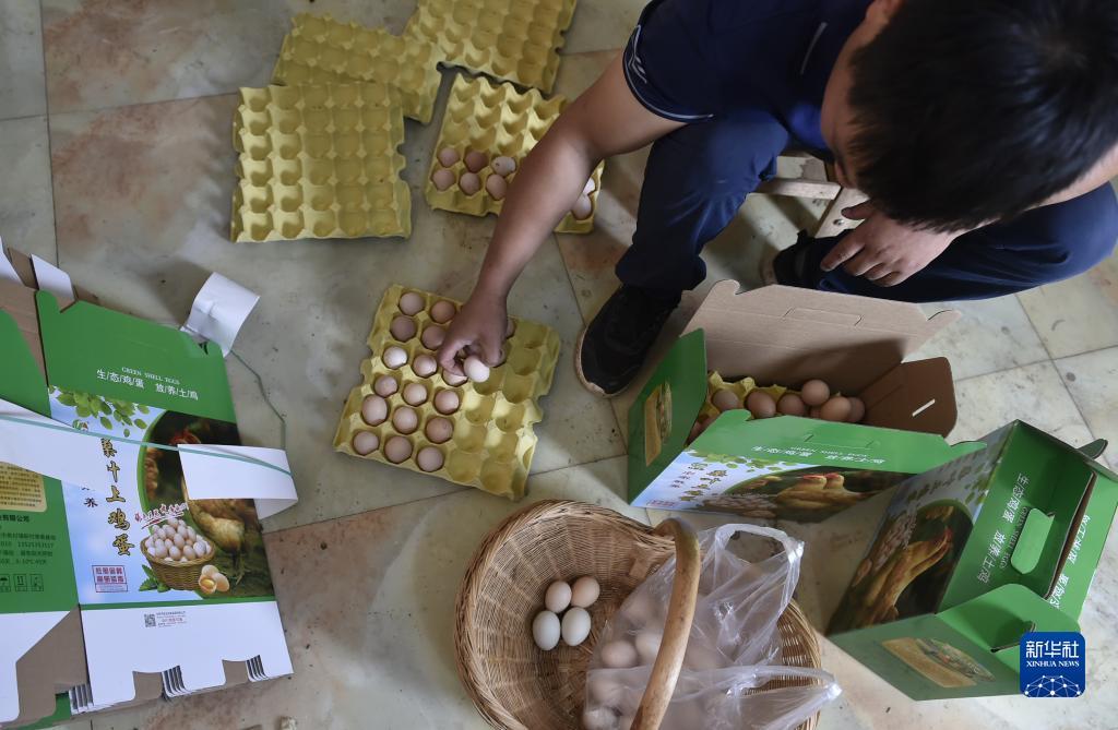 大发bet客户端下载